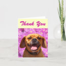 Search for puggles Pugs