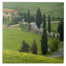Search for siena tiles Europe