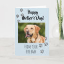 Search for mothers day fur babies Mother's day from cat