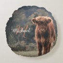 Search for highland cow cushions Calf