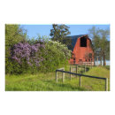 Search for lilac bushes posters Flower