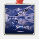 Search for frozen christmas tree decorations Ie