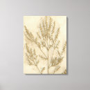 Search for foliage canvas prints Botanical