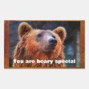 Search for brown bear stickers Animal