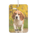 Search for pet photo car air fresheners Picture