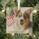 Search for corgi decor Pembroke welsh corgi