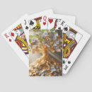 Search for money tree Prosperity