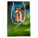 Search for orange gift bags Striped