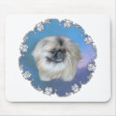 Search for the pekingese electronics Peke