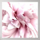 Search for macro of art Flower