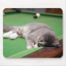 Search for peeking in mousepads Photography
