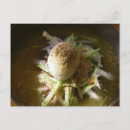 Search for noodle postcards Asian