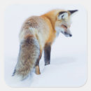 Search for fox hunt stickers Hunting