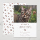 Search for cute cat christmas cards Script