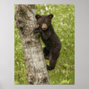 Search for black adam posters Tree