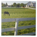 Search for rural scenes tiles Animal