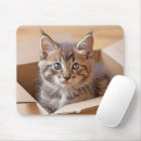 Search for boxes mousepads Brown