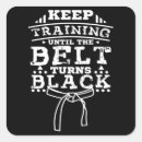 Search for belt stickers Taekwondo