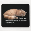 Search for funny sayings mousepads Cat