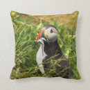 Search for puffin gifts Colourful