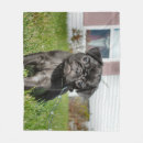 Search for black pug blankets Pet