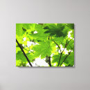Search for raindrops canvas prints Photography