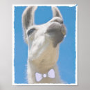 Search for llamas posters Cute