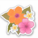 Search for white plumeria stickers Pink