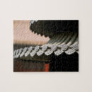 Search for asia puzzles China