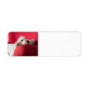 Search for cocker return address labels Pet