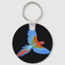 Search for macaw key rings Parrot