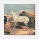 Search for arabic magnets Arabian