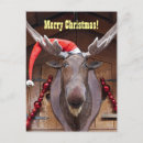 Search for happy moose postcards Animal