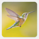 Search for young bird stickers Animal