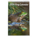 Search for frogs office supplies Wildlife