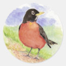 Search for american robin stickers Wildlife