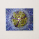 Search for passion flower puzzles Nature