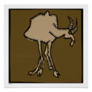 Search for birthday zodiac signs Capricorn