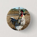 Search for roosters badges Bird