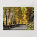 Search for larch tree postcards Fall