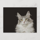 Search for whisker postcards Nature