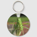 Search for herbivorous key rings Nature