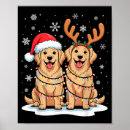 Search for golden retriever christmas posters Reindeer