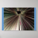Search for black hole posters Fantasy