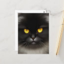 Search for kitty face postcards Animal