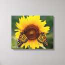 Search for monarch canvas prints Butterflies