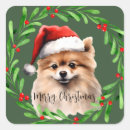 Search for pomeranian stickers Dog