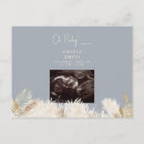 Search for ultrasound postcards Shower