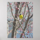 Search for finch posters Pink