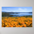 Search for california lake posters Nature